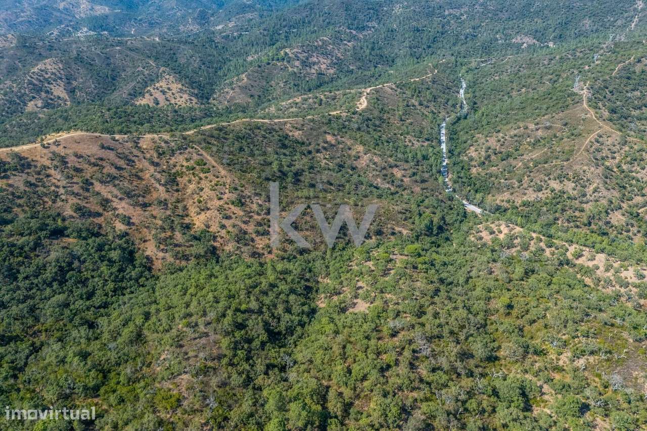 Terreno com 4750 m2 em Cepo, Querença, produção cortiça e medronhos - Grande imagem: 5/31