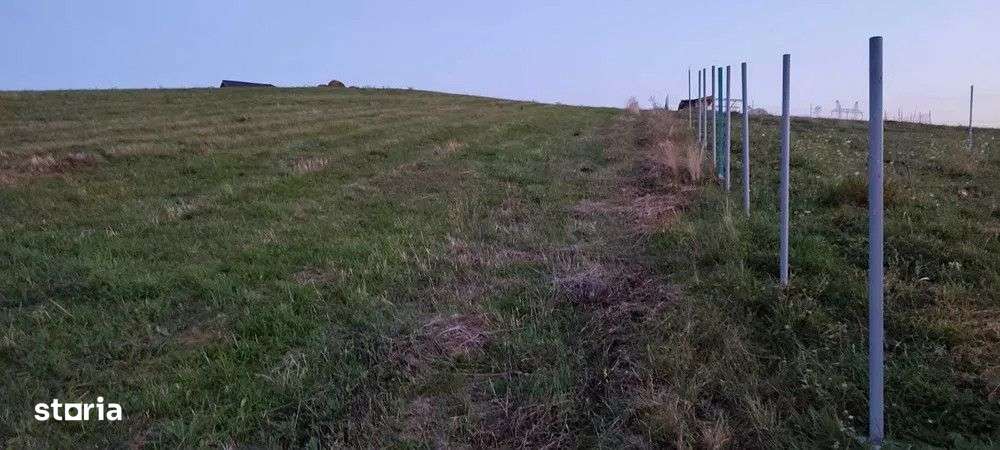 Teren intravilan,3000 mp,front 30ml,Salistea Noua - Imagine principală: 2/4