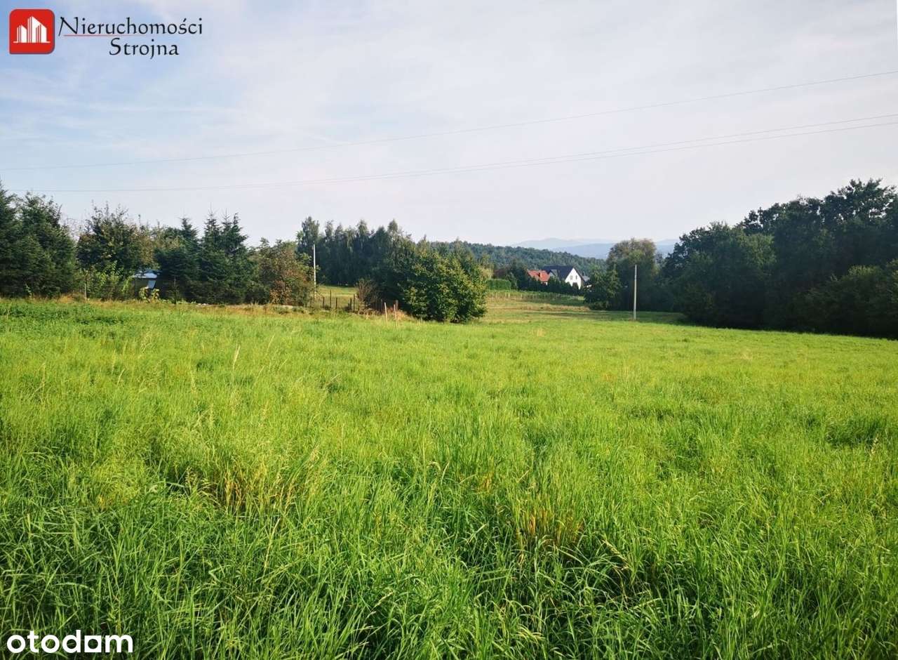 Atrakcyjna działka budowlano-rolna o pow. 39,5a - Pełny obrazek: 4/4