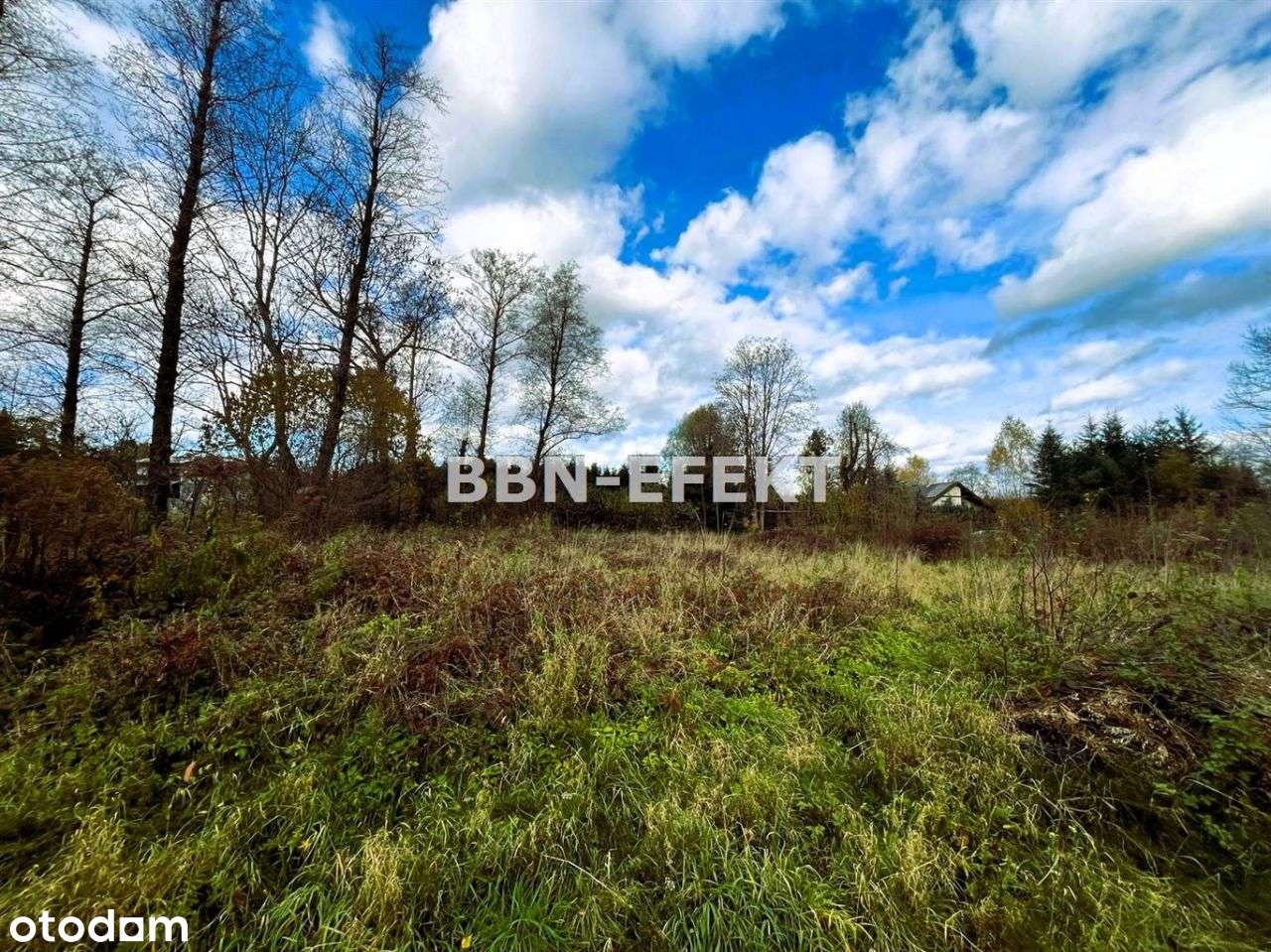 Działka, 1 300 m², Pietrzykowice - Pełny obrazek: 4/7