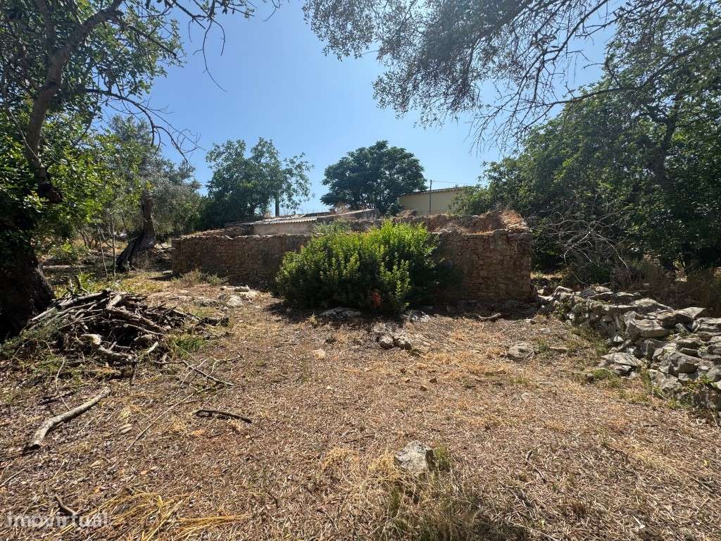 Terreno com 24.080 m², Ruínas e Moradia T2 em Madeira - Moncarapacho-8
