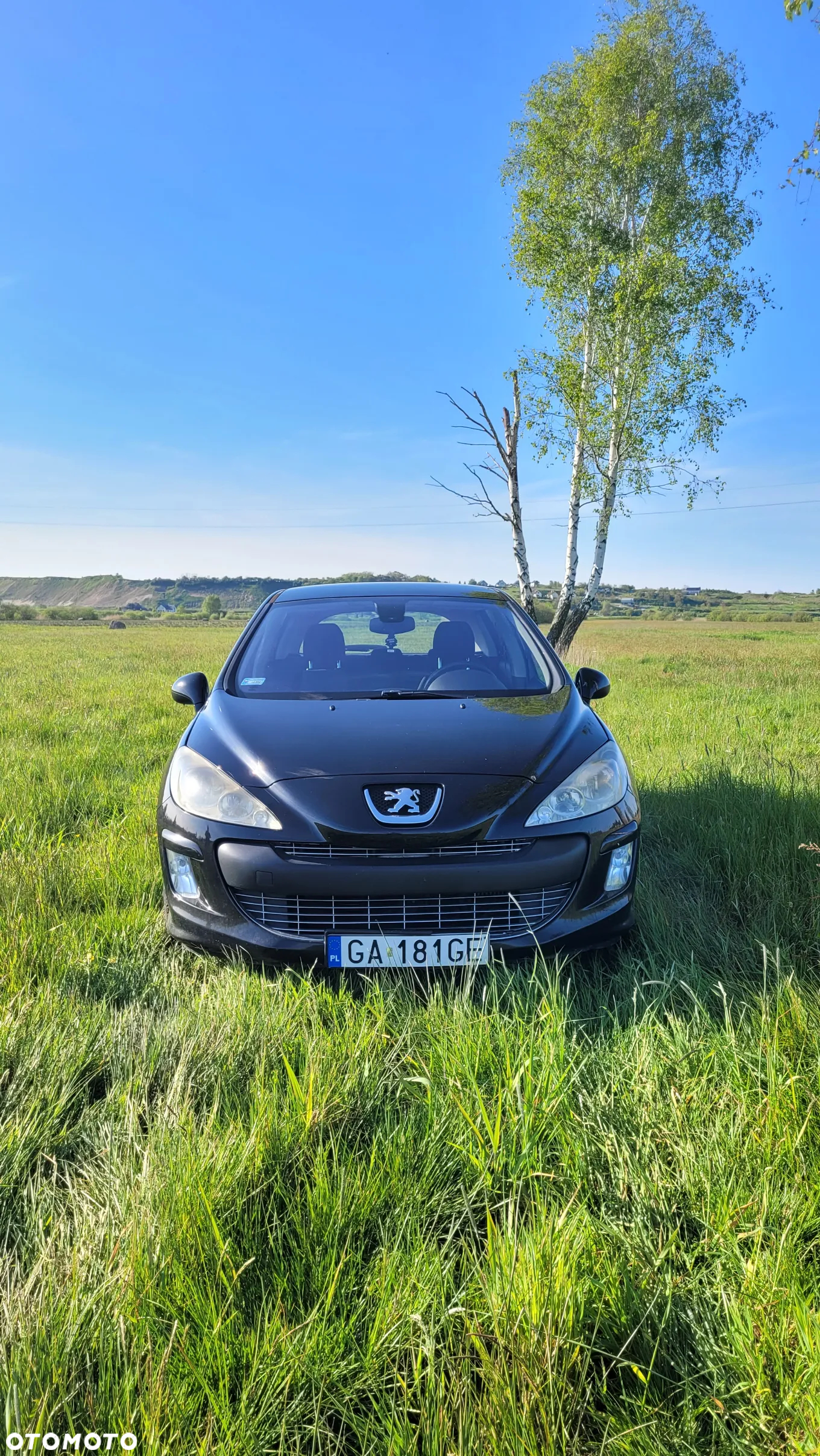 Peugeot 308 2.0 HDi Premium - 10