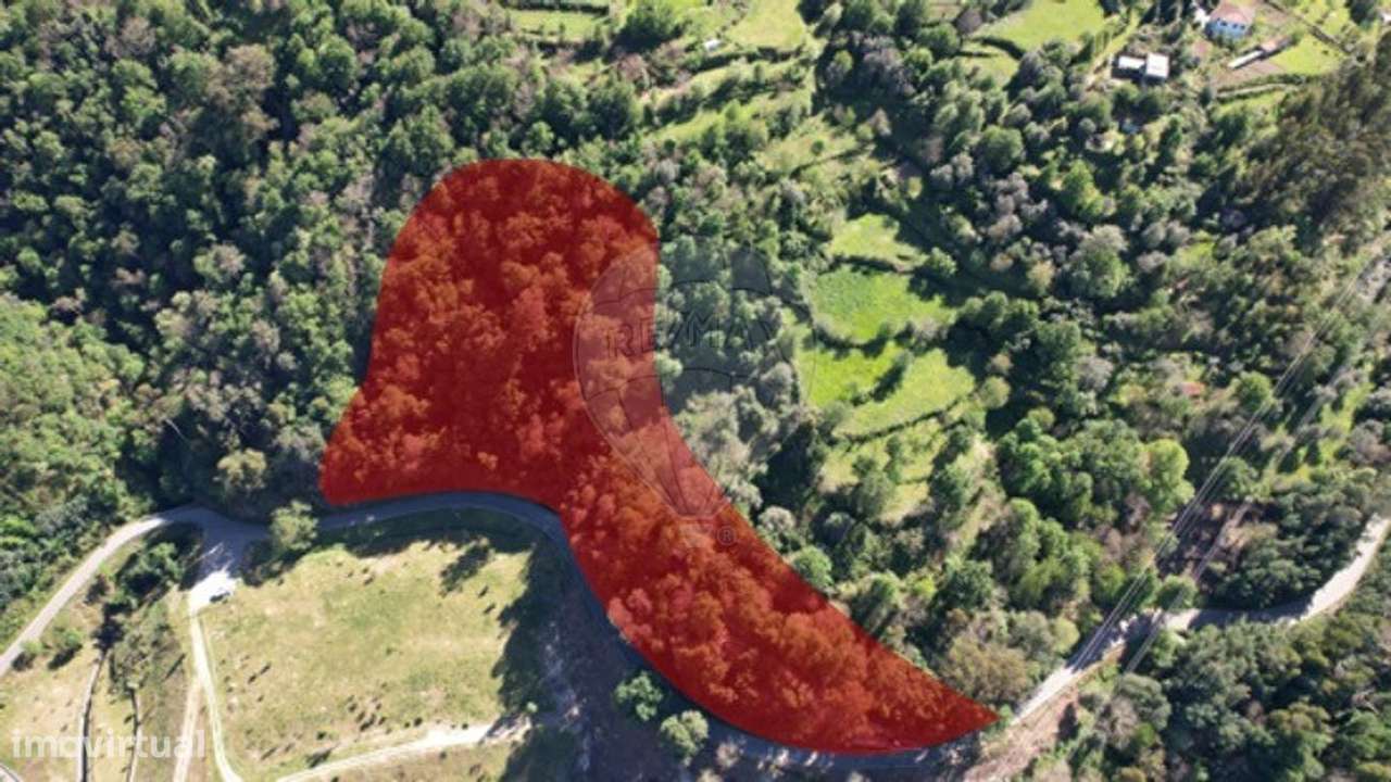 Terreno  para venda - Grande imagem: 2/19