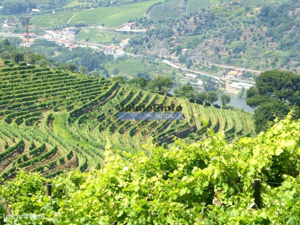 Quinta mini e Ruína, ampla vista rio Douro. Portugal, Norte, Porto,...-5