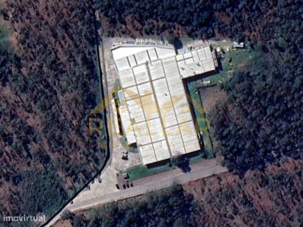 Pavilhão Industrial de Grande Porte: O Coração Logístico do Norte - Grande imagem: 2/21