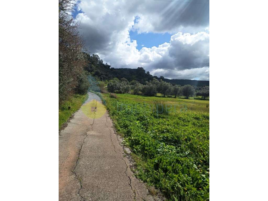 Terreno à Venda em Alte - Grande imagem: 5/6