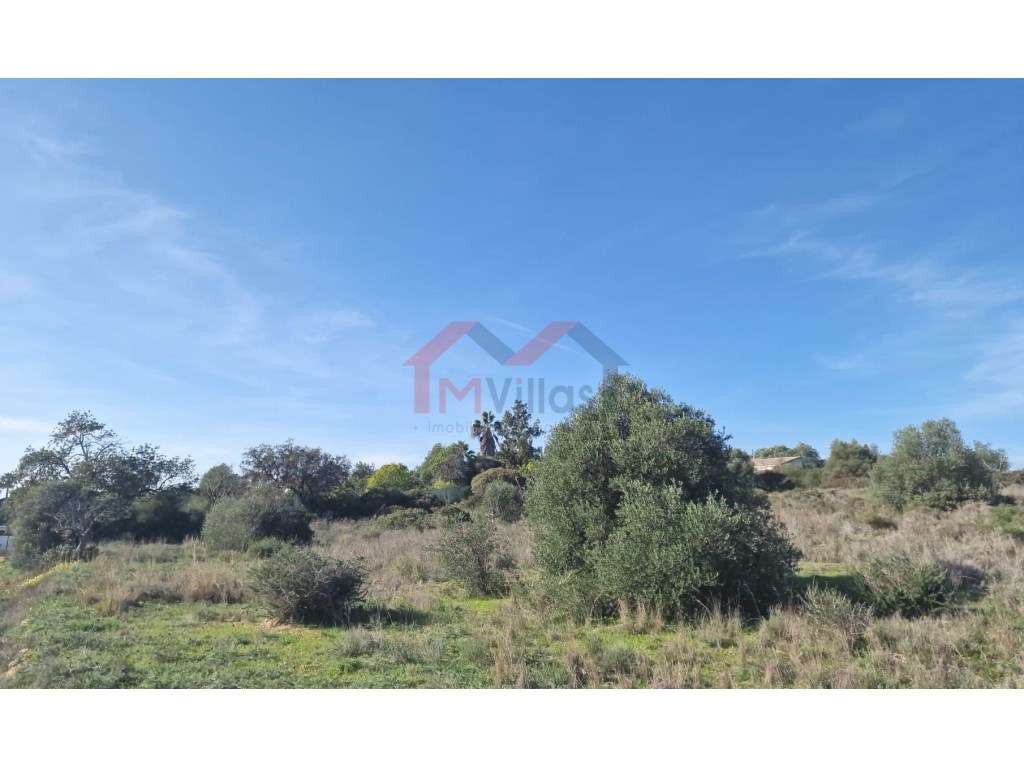 Terreno com projecto em curso para construção de um edifício comerc... - Grande imagem: 4/18