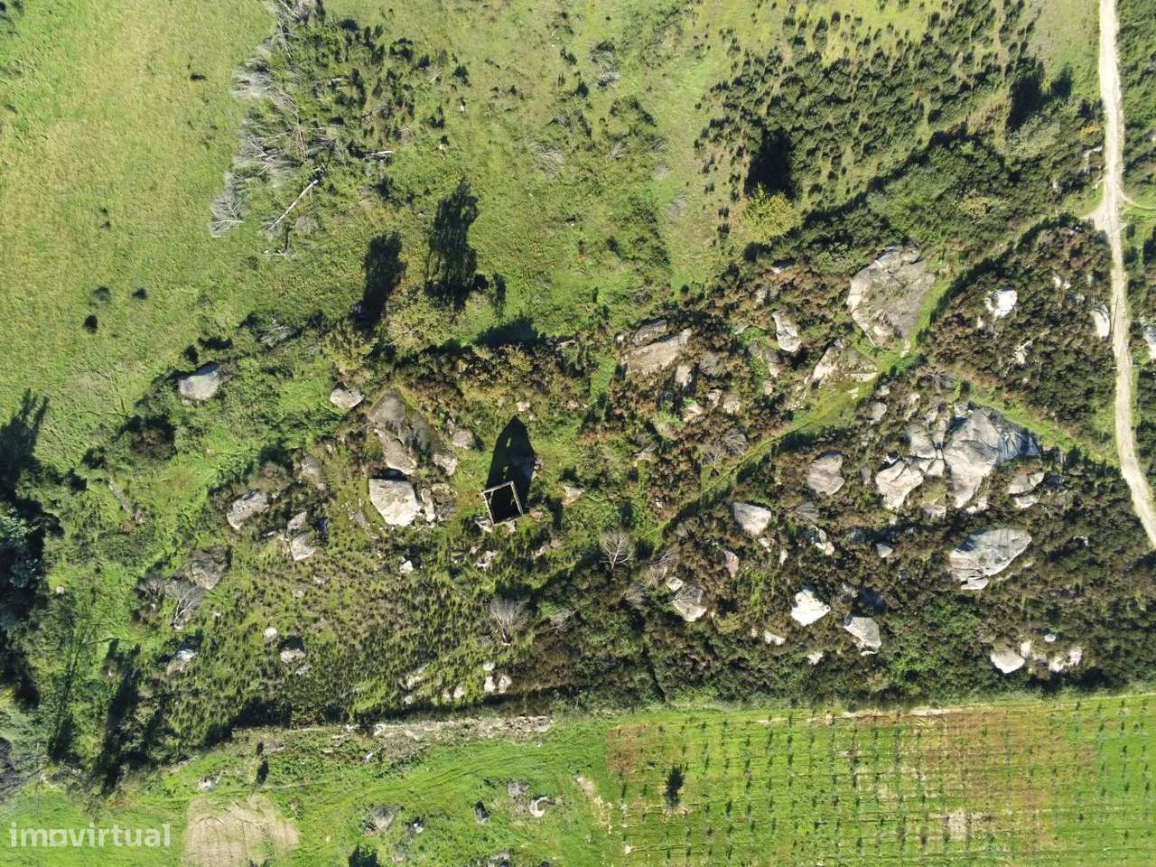 Quinta com Ruina, terreno 5,75Ha, a confrontar com ribeiro-6
