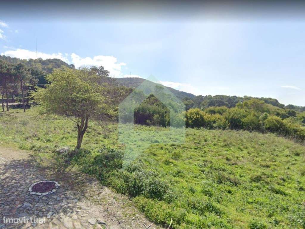 Terreno rústico em Moledo e Cristelo, Caminha. - Grande imagem: 2/12