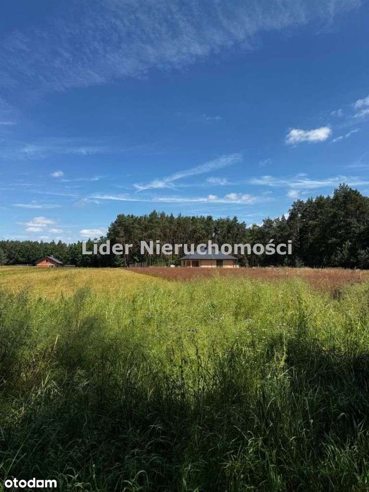 Piękne działki pod lasem , blisko rzeka, cisza, OSTOJA SPOKOJU - Pełny obrazek: 4/7