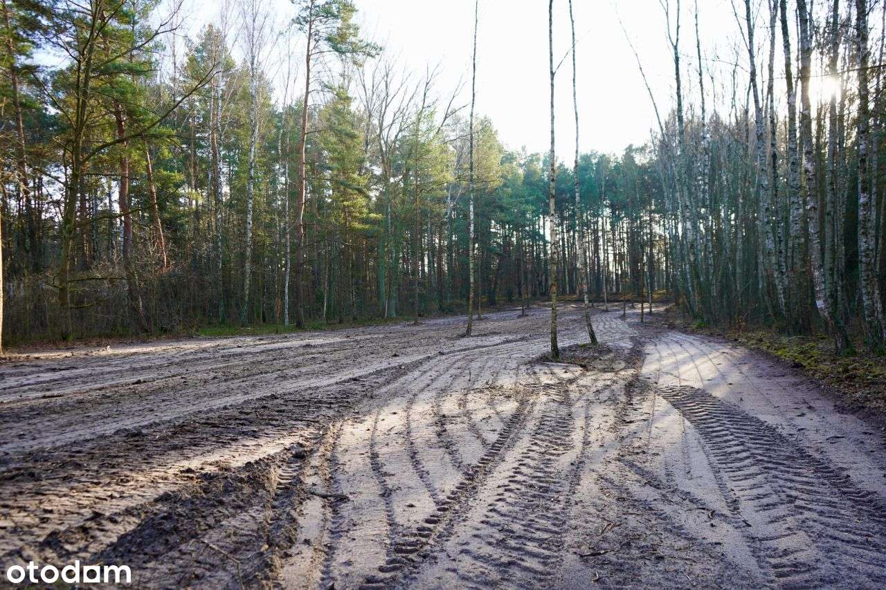 Działka, 5 000 m², Kąck - Pełny obrazek: 2/5