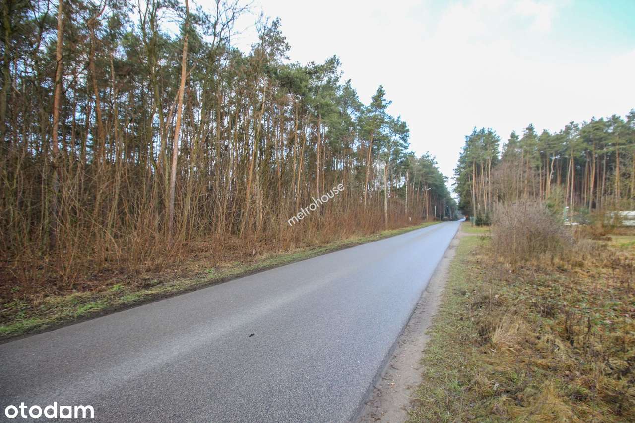 Działka budowlana 1690mkw dojazd asfaltowy. - Pełny obrazek: 5/6