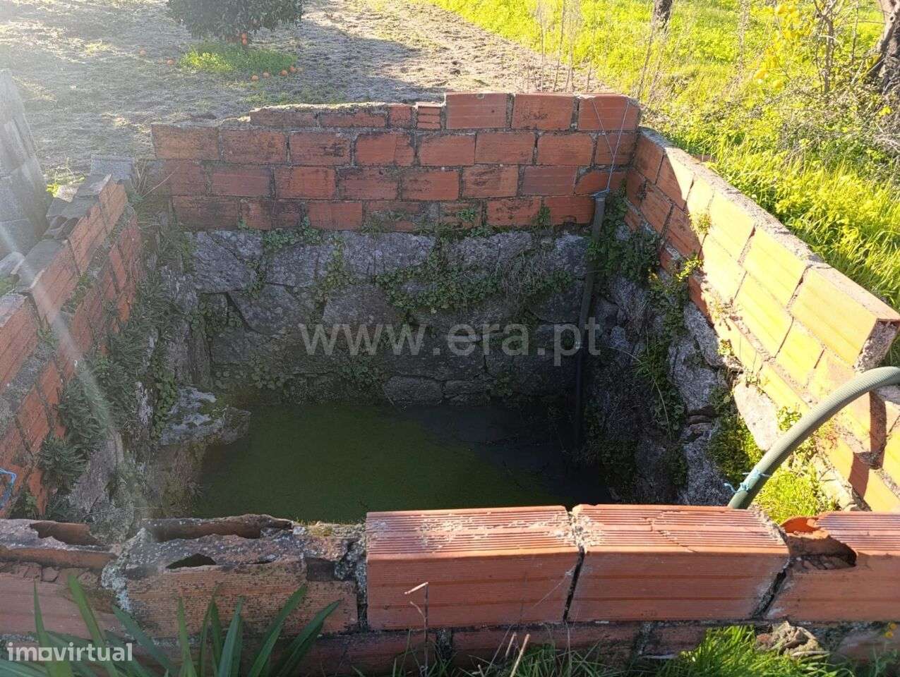 Terreno / Fundão, Vale de Prazeres e Mata da Rainha - Grande imagem: 5/11