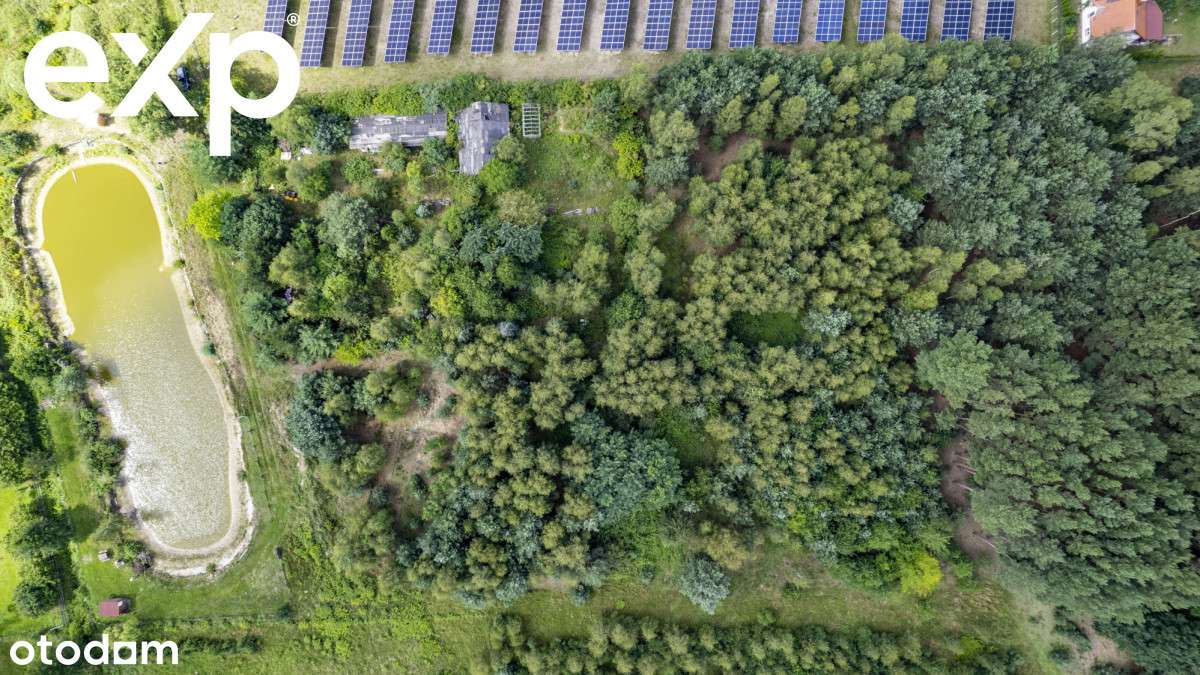 1,9 ha idealne pod inwestycję lub wymarzony dom - Pełny obrazek: 5/15