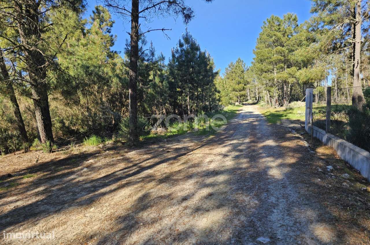 Terreno, 2 800 m², Fiolhoso - Grande imagem: 2/3