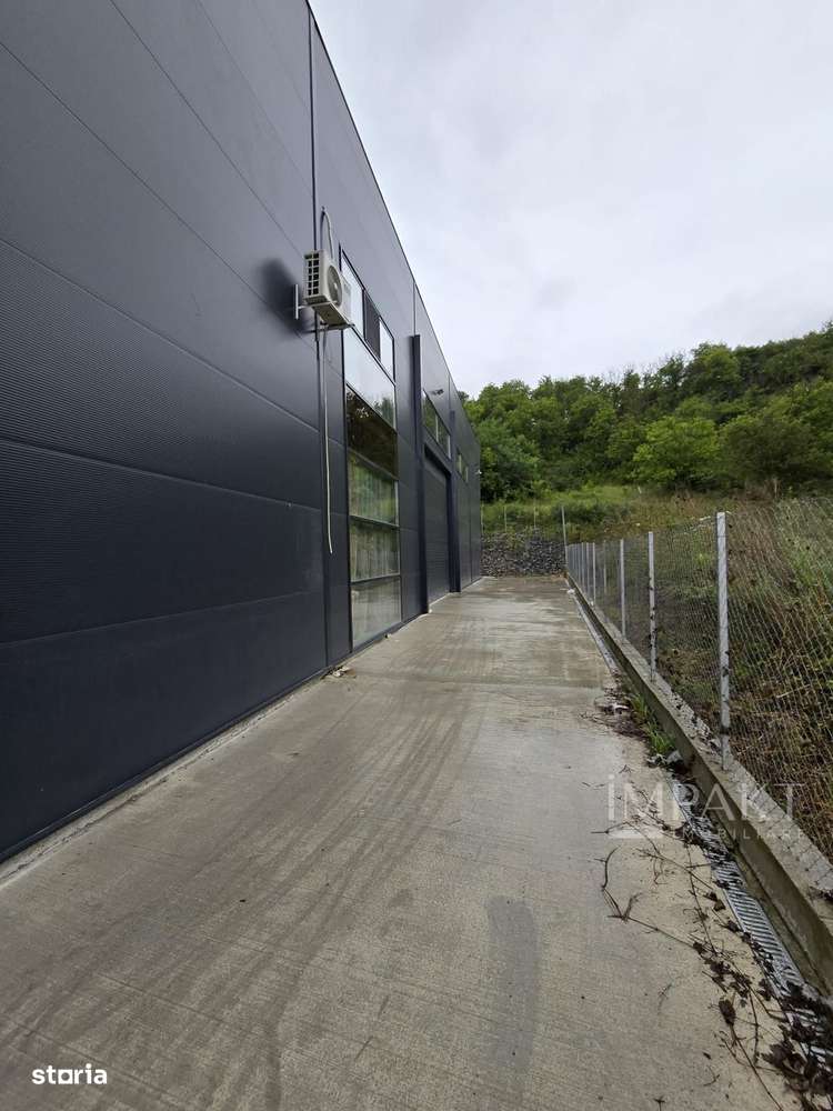 Inchiriere hala/show room/Spatiu comercial Cluj-Baciu - Imagine principală: 4/14