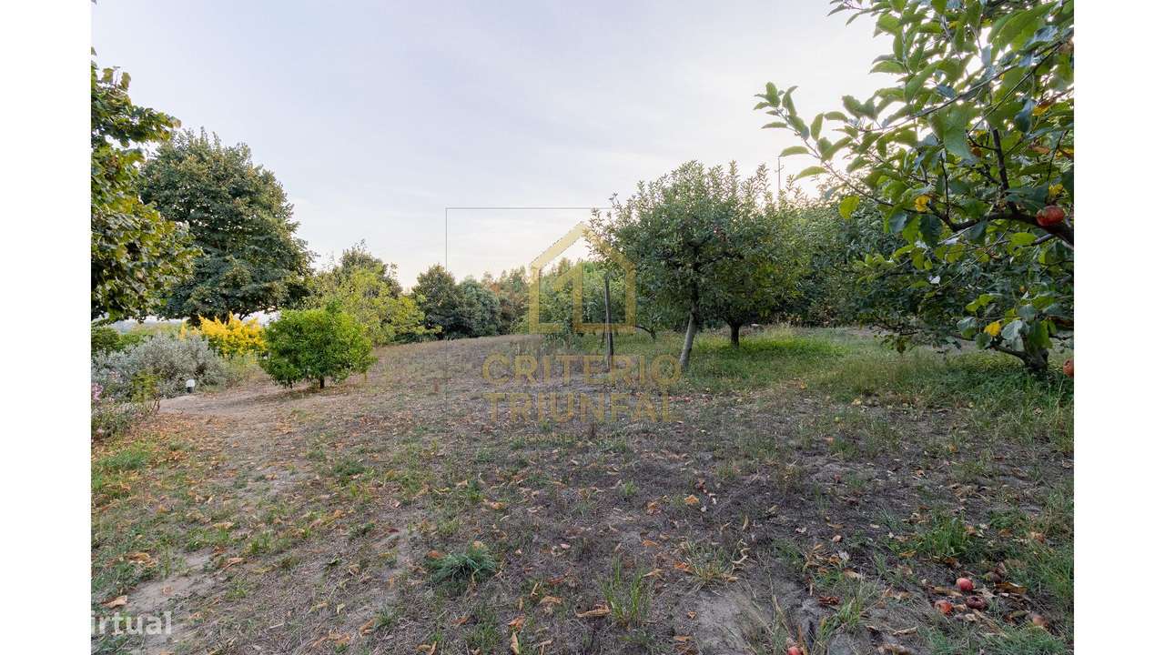 Quinta com Moradia T5 em Boelhe,Penafiel-7