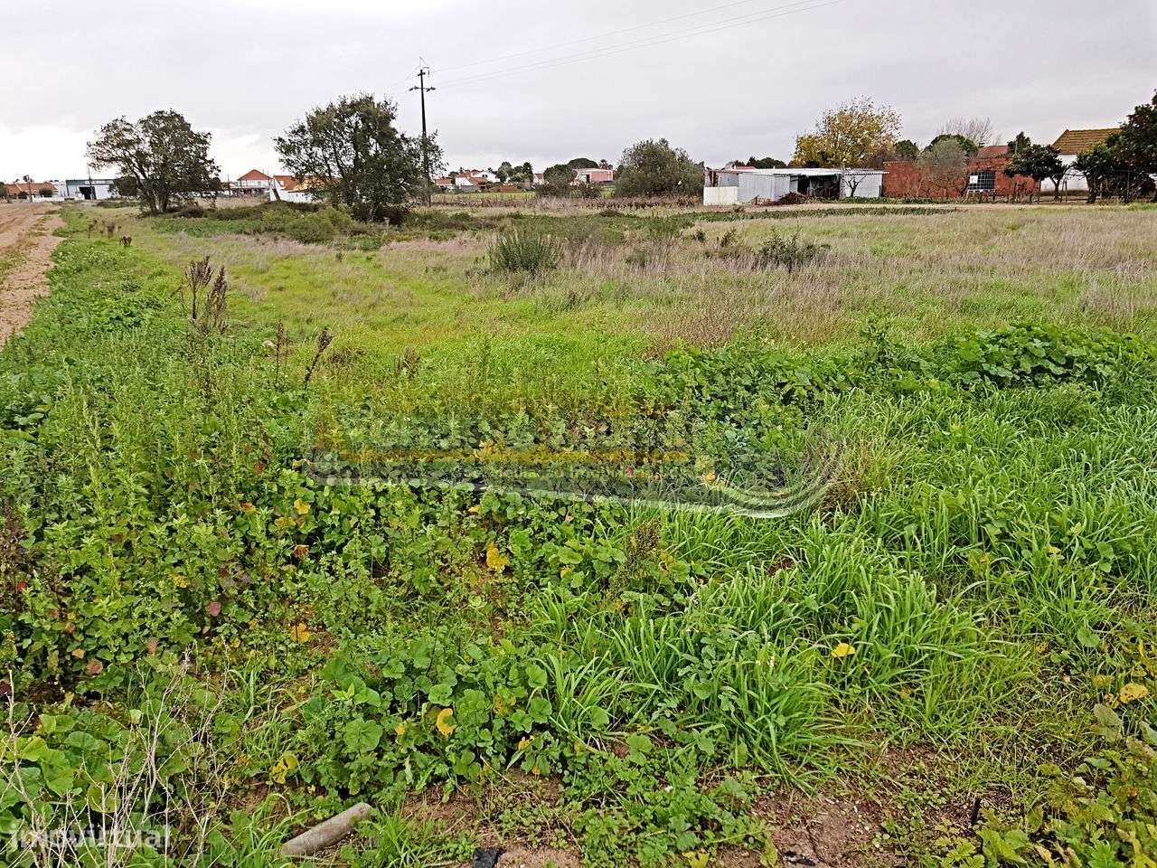 Terreno em Foros de Salvaterra (F557) - Grande imagem: 4/4