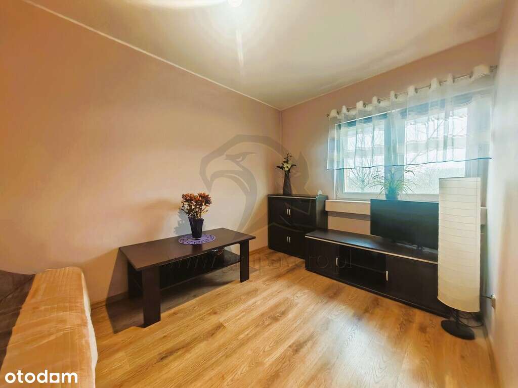 Storczykowe Love z widokiem na park - Pełny obrazek: 4/20