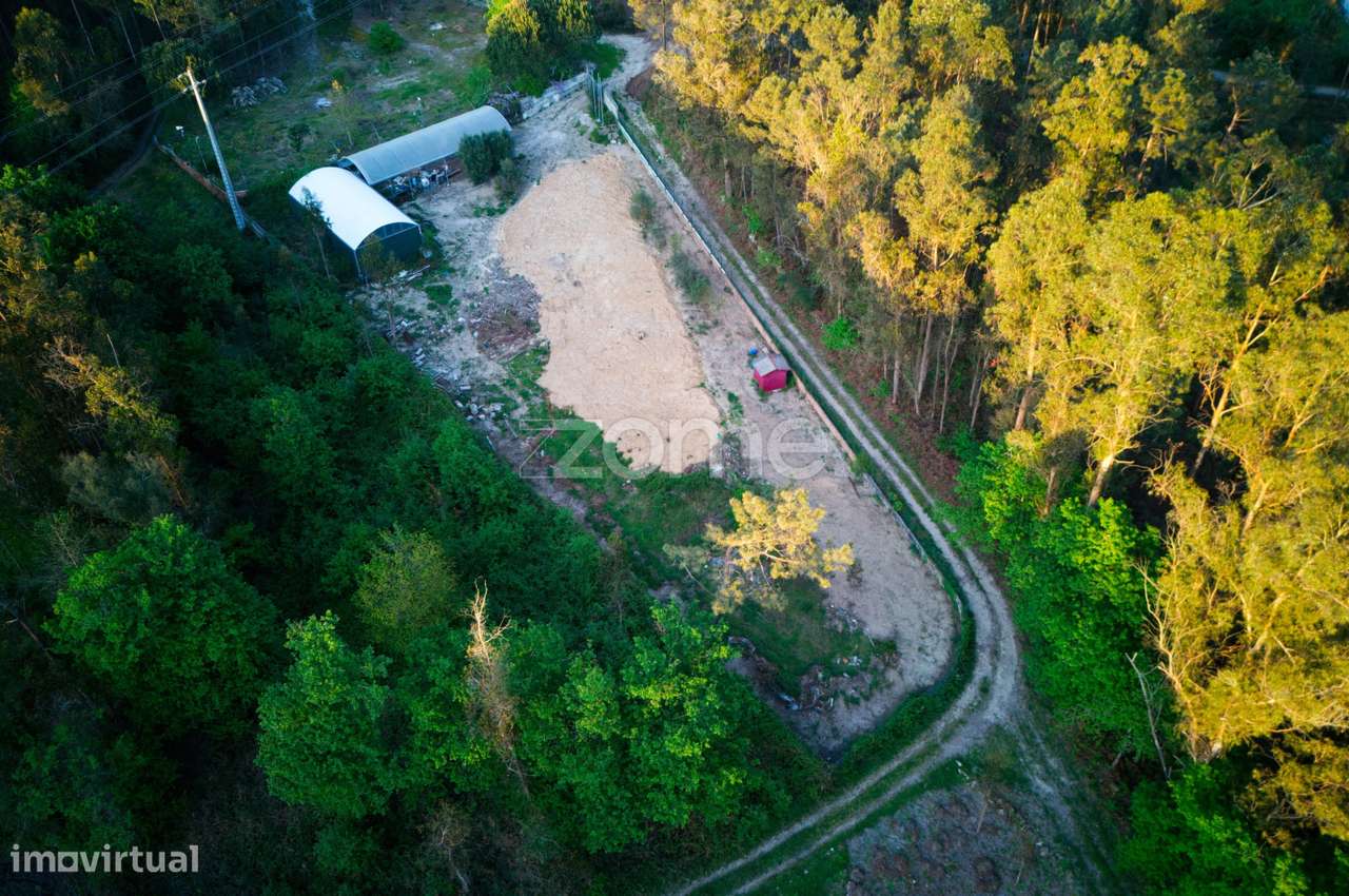 Terreno agrícola em Fragoso-7