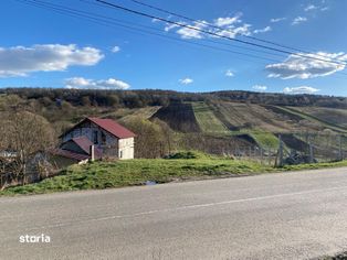 Teren intravilan 12 arii, zona Valea Ghinzii