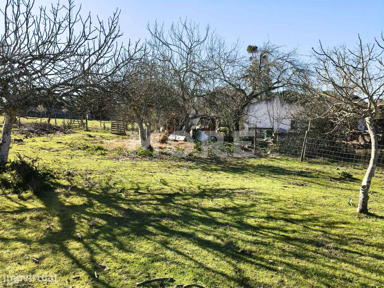 Terreno com 9500 m² – Évora-13