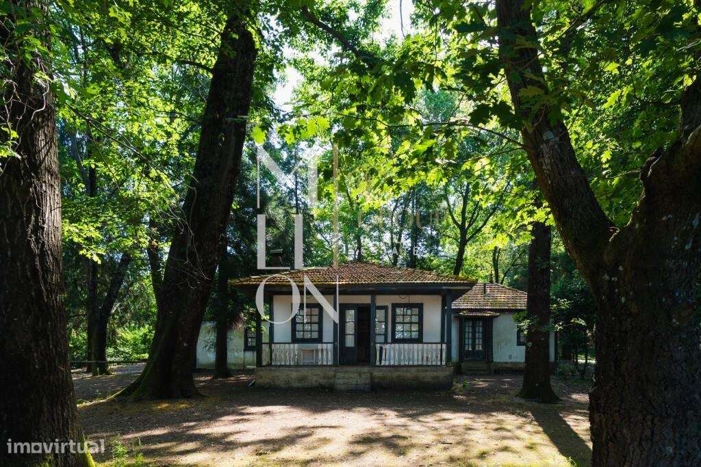Magnífica Quinta Murada em Vila Nova de Famalicão – Oportunidade de In - Grande imagem: 2/25