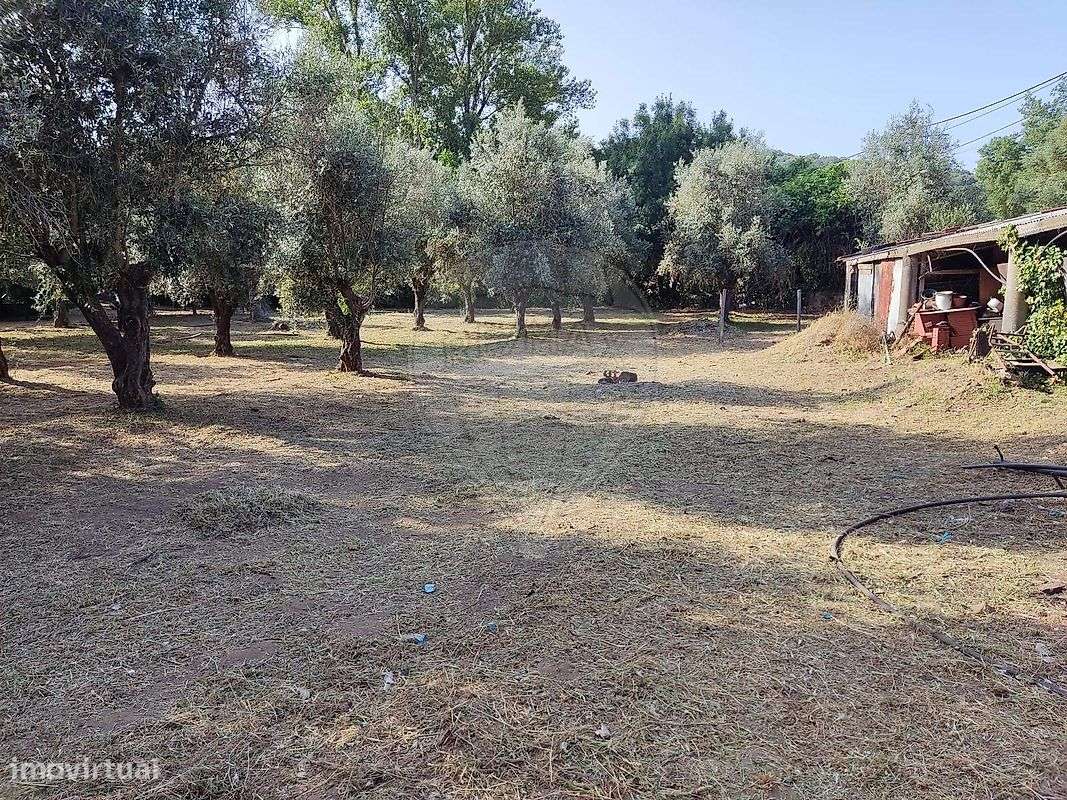 Terreno  para venda - Grande imagem: 3/9