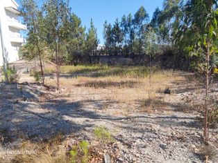 Lote de 332m2 em Vila de Rei - Grande imagem: 5/11
