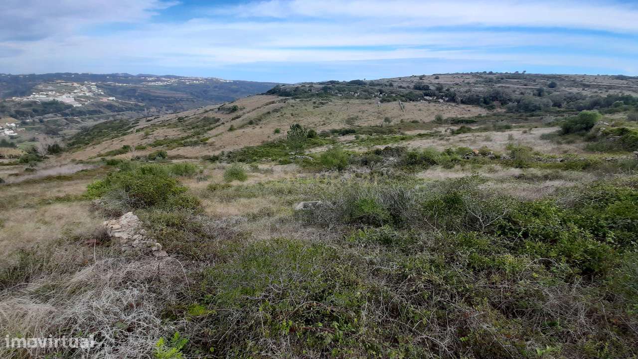 Terreno Rústico em Funchal - Sintra - Grande imagem: 3/12