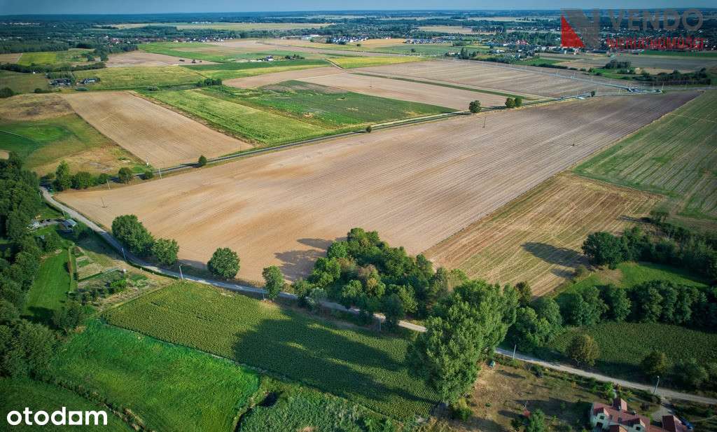 Grunt Z Wz- 5 Budynków Wolnostojących 2 Lokalowych - Pełny obrazek: 5/6