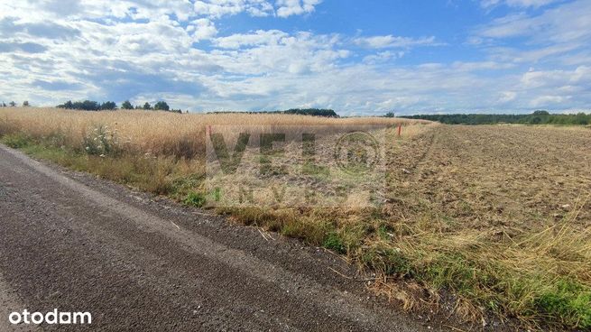 Działka budowlana na osiedlu Morasko-Radojewo