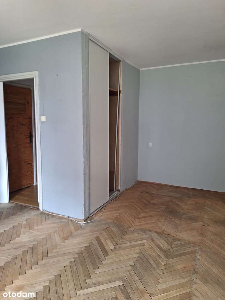 Duża kawalerka na parterze - znakomita lokalizacja - Pełny obrazek: 5/16