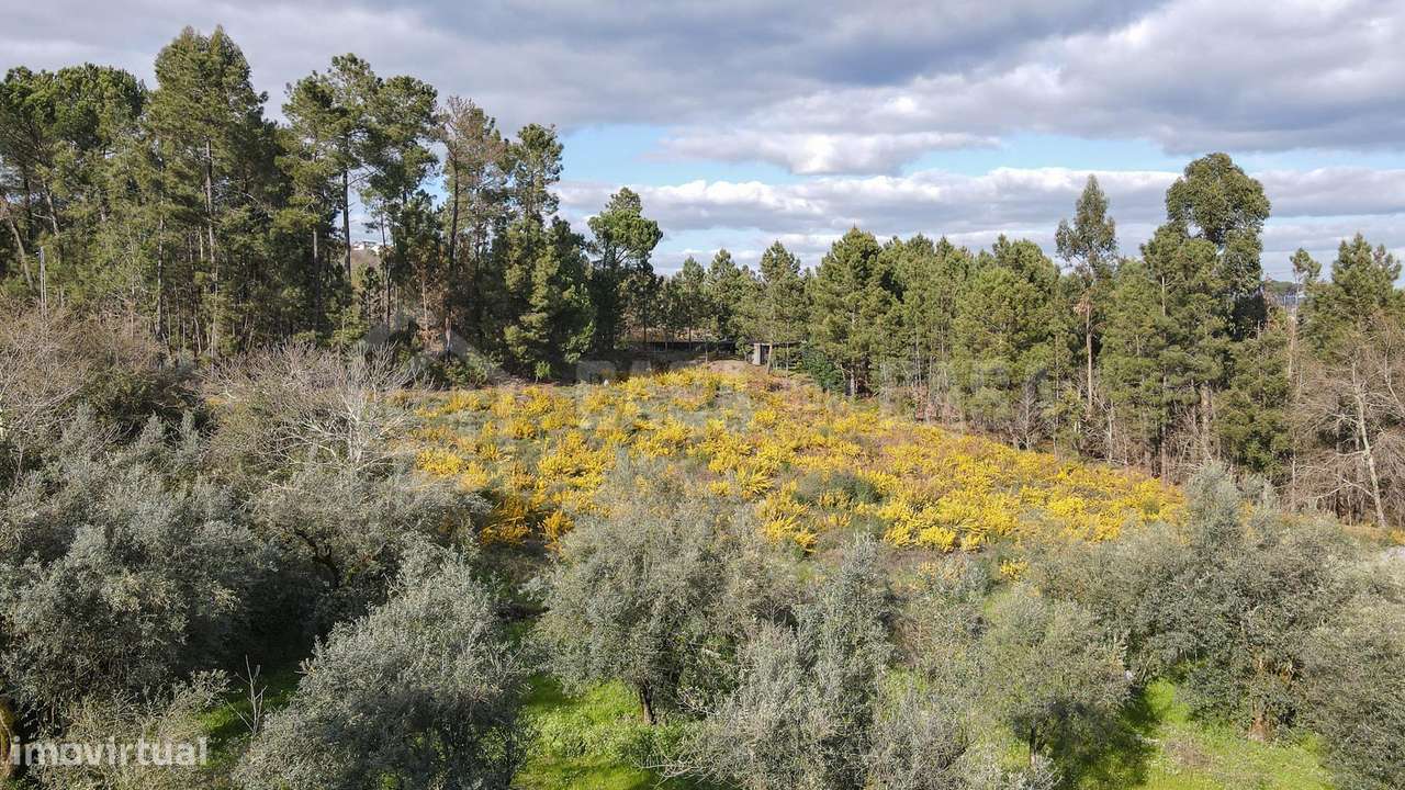 Terreno Construção Fragosela de Cima - Grande imagem: 4/10