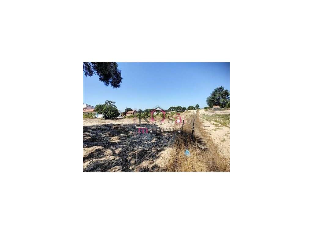 4 Moradias em Melides, exelente para investimento - Grândola-13