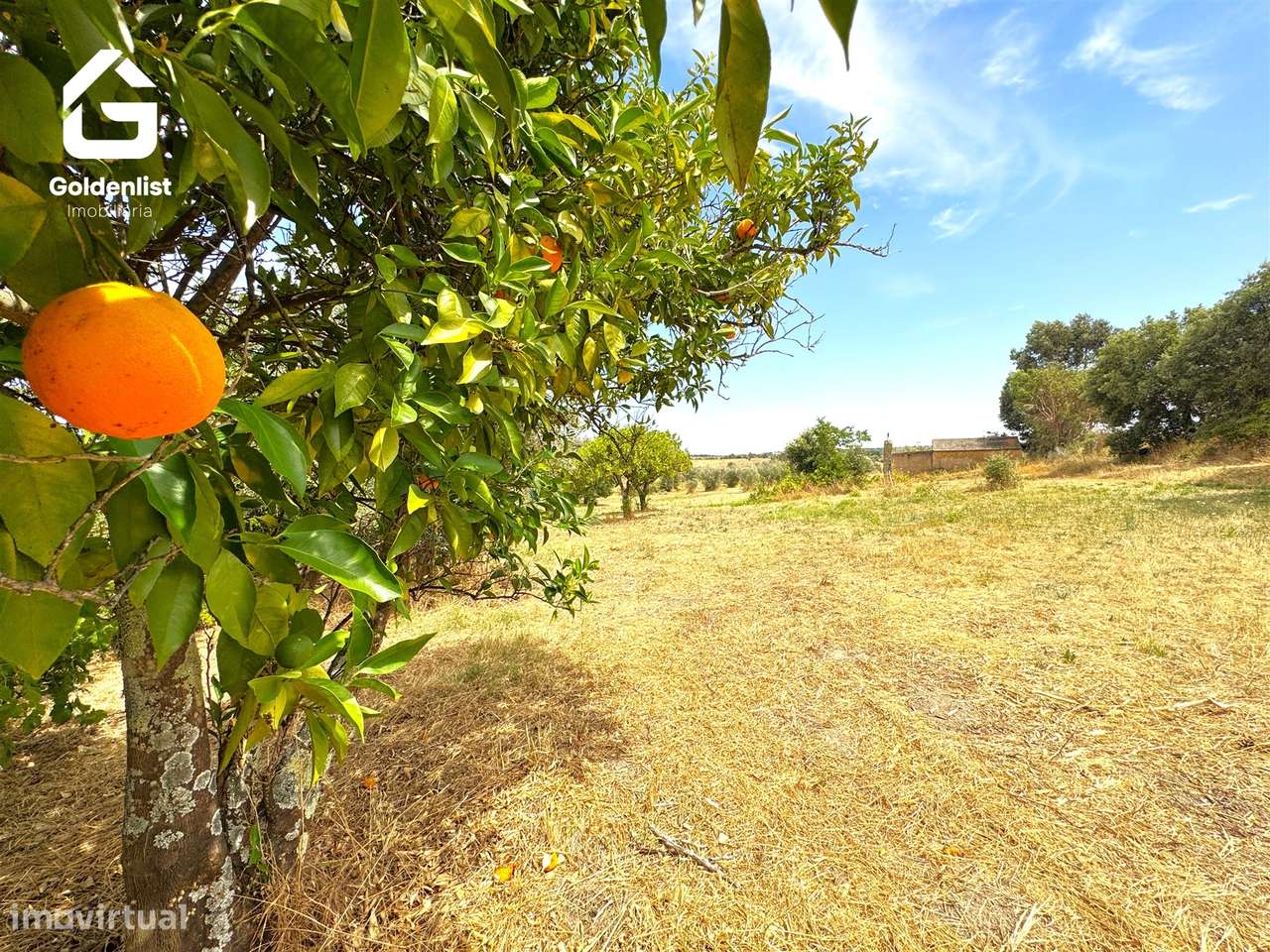 Quintinha  Venda em Escalos de Cima e Lousa,Castelo Branco-12