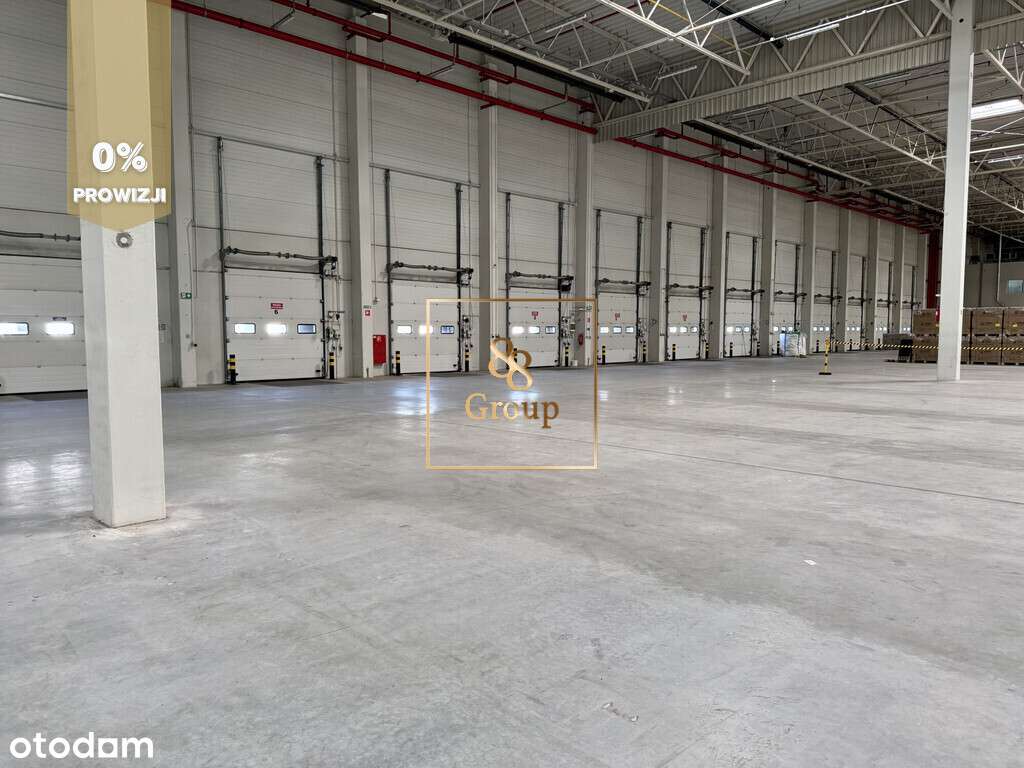 Magazyn 2000 - 4000m2 Ożarów Mazowiecki - Pełny obrazek: 5/5