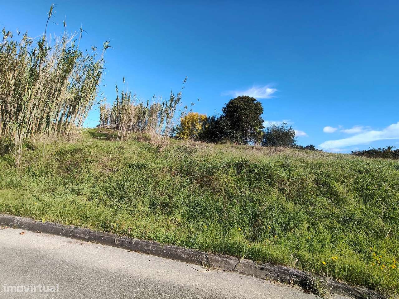 Terreno / Construção / Vale de Frade / Marrazes e Barosa / Leiria - Grande imagem: 5/6