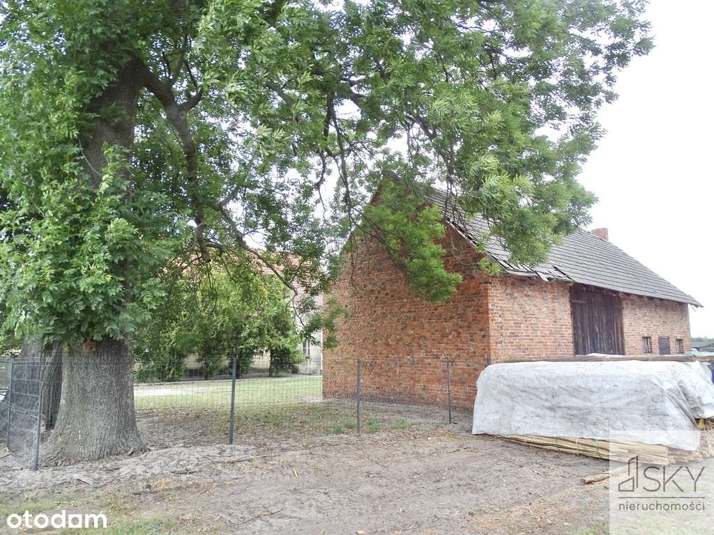 Połowa domu / Działka 1200m2 / Stodoła /Wróbliniec - Pełny obrazek: 4/9