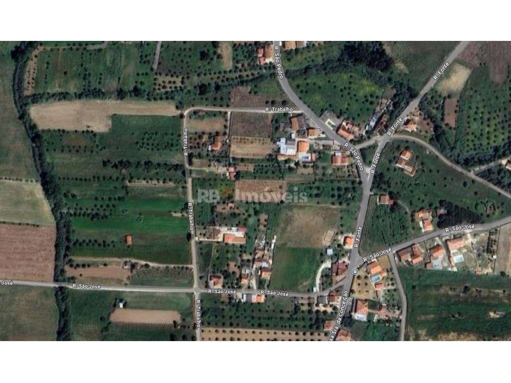 Terreno rústico - Bairrada, Tomar - Grande imagem: 1/18