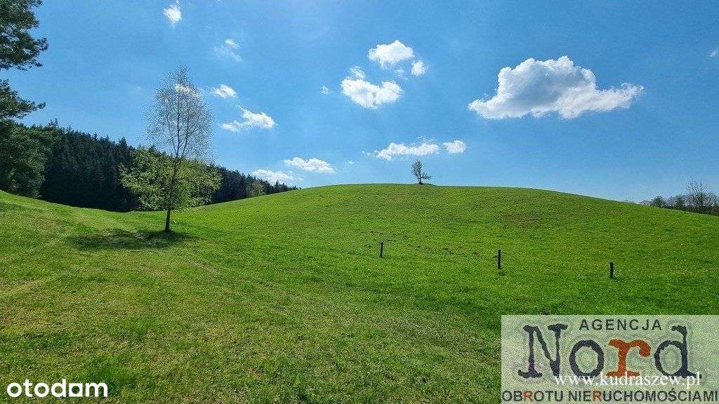 Działka Nad Jeziorem Suwalszczyzna-10