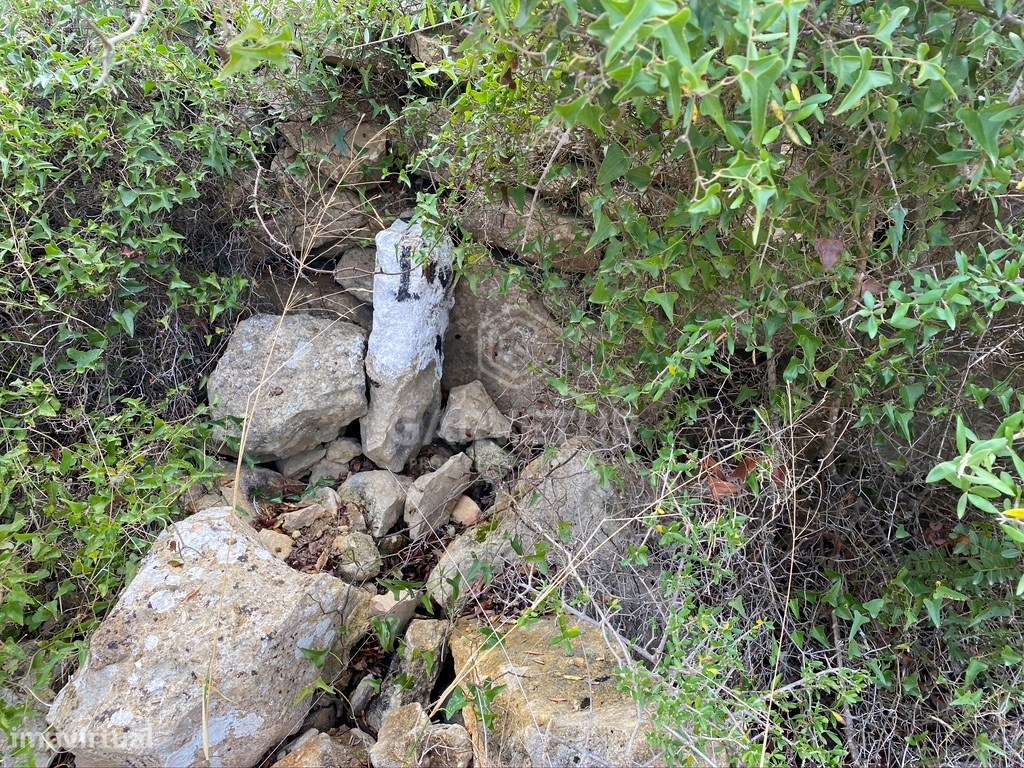 Lote de terreno rústico situado em zona muito tranquila, Boliqueime... - Grande imagem: 5/14