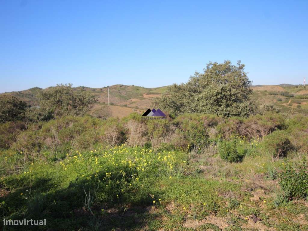 Terreno Rústico | 34.000 m² | Corga da Madeira - Junqueira, Castro ...-7