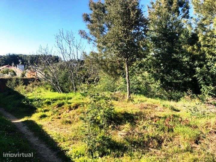 Terreno c/ruína - T2287/19 - Grande imagem: 3/3