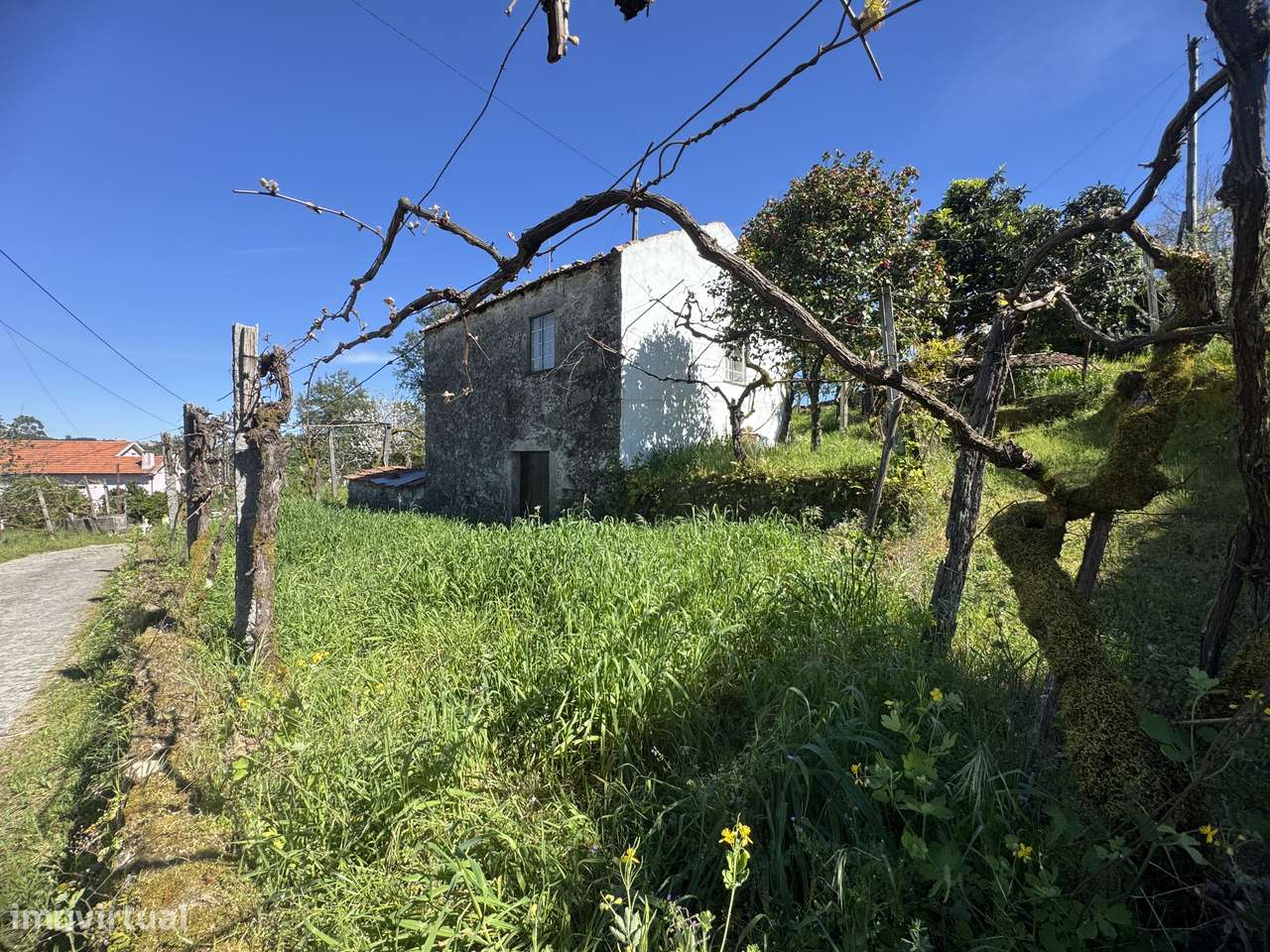 Moradia em granito p/ recuperar – Oliveira de Frades-21