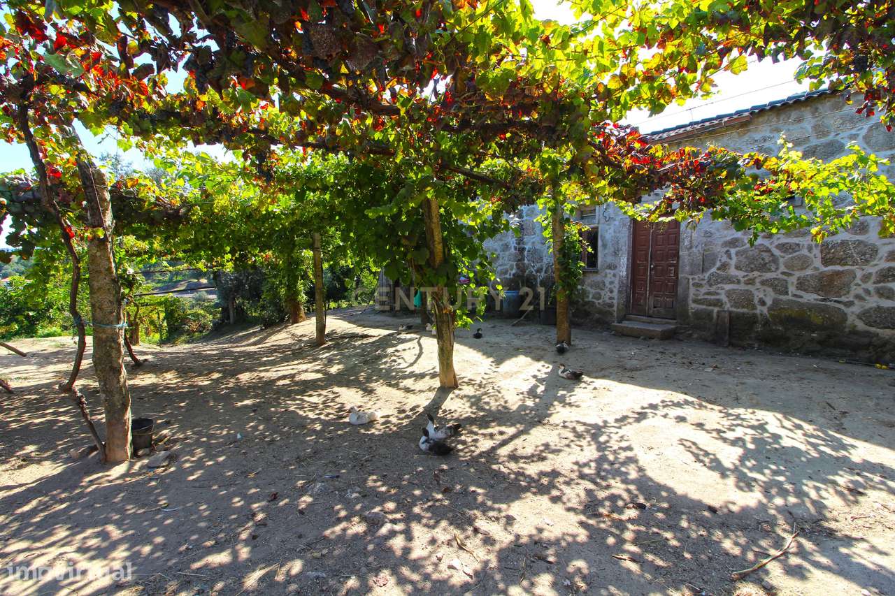 Quinta Gemieira, Ponte de Lima - Grande imagem: 3/16