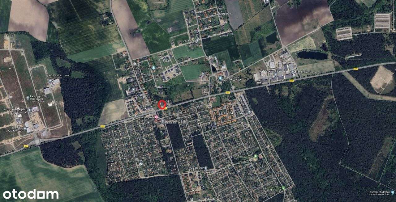 Lokal użytkowy do wynajęcia Sierosław Biuro Usługi - Pełny obrazek: 5/19