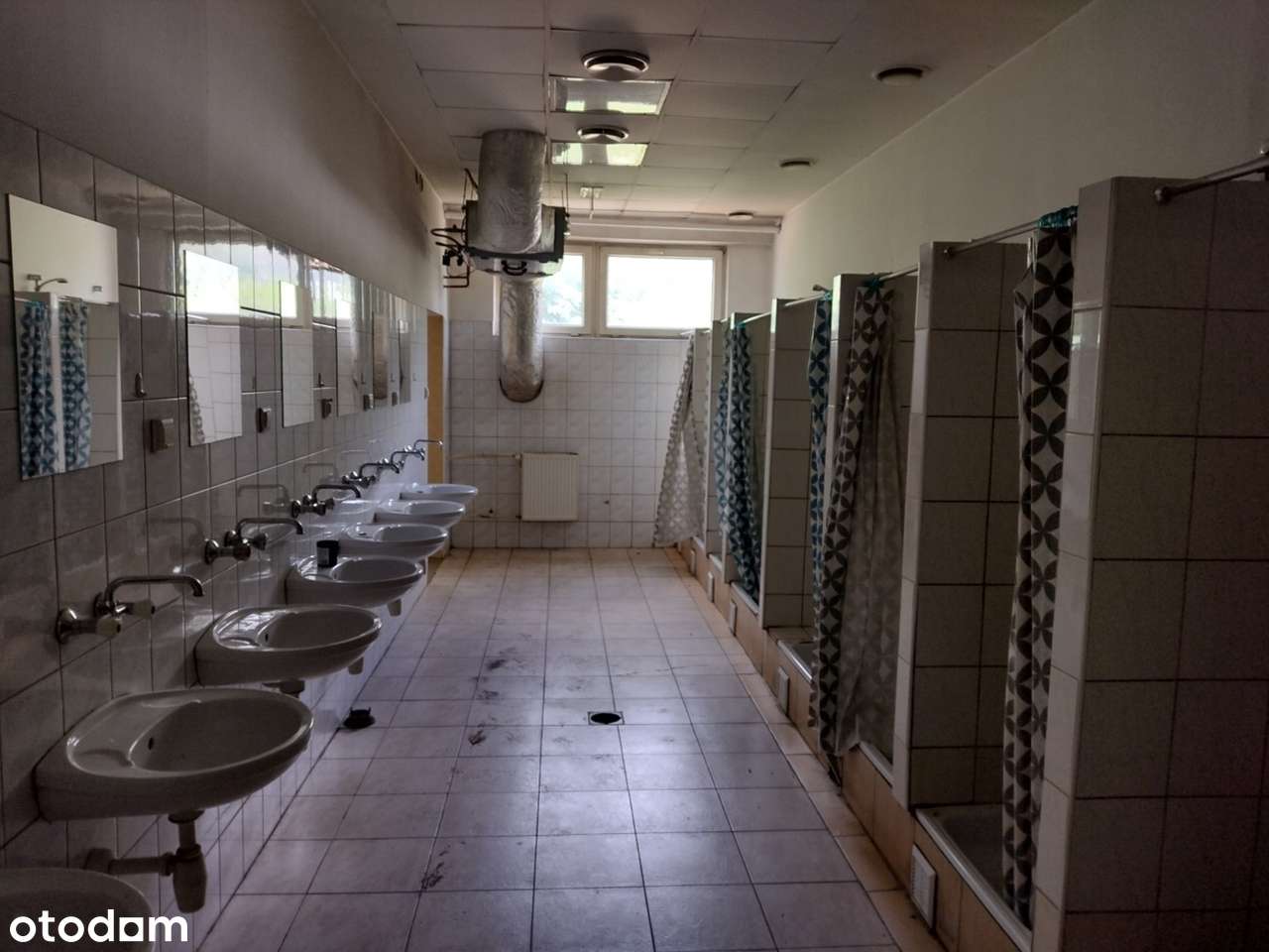 Hala produkcyjno/magazynowa na wynajem lub sprzedaż - Pełny obrazek: 5/6