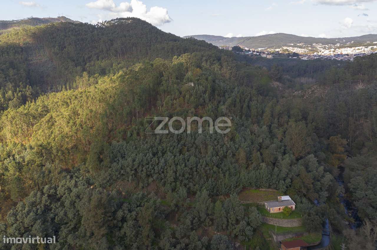 Quinta com 4ha de terreno, junto ao Rio Caima, Oliveira de Azeméis - Grande imagem: 4/33
