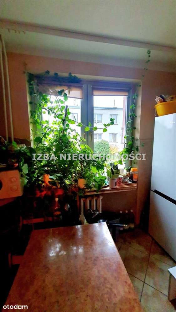 Mieszkanie, 38,10 m², Nowa Wieś Ełcka-4